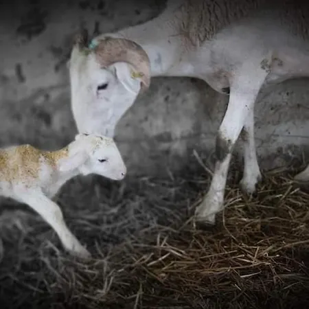 Le Castel Сasa de vacaciones *